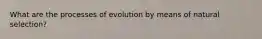 What are the processes of evolution by means of natural selection?