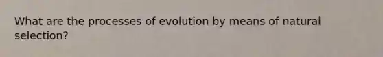 What are the processes of evolution by means of natural selection?