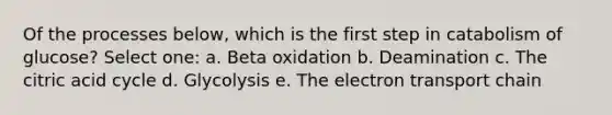 Of the processes below, which is the first step in catabolism of glucose? Select one: a. Beta oxidation b. Deamination c. The citric acid cycle d. Glycolysis e. The electron transport chain