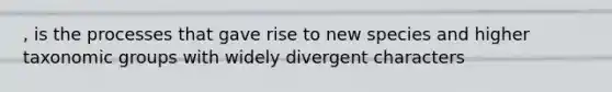 , is the processes that gave rise to new species and higher taxonomic groups with widely divergent characters