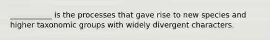 ___________ is the processes that gave rise to new species and higher taxonomic groups with widely divergent characters.