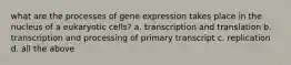 what are the processes of gene expression takes place in the nucleus of a eukaryotic cells? a. transcription and translation b. transcription and processing of primary transcript c. replication d. all the above