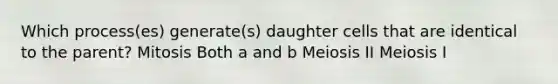 Which process(es) generate(s) daughter cells that are identical to the parent? Mitosis Both a and b Meiosis II Meiosis I