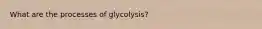 What are the processes of glycolysis?