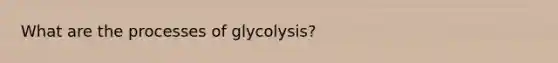 What are the processes of glycolysis?