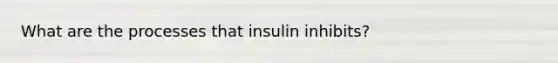 What are the processes that insulin inhibits?