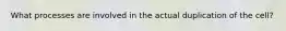 What processes are involved in the actual duplication of the cell?