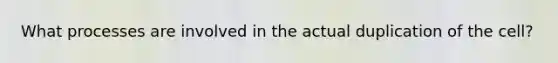 What processes are involved in the actual duplication of the cell?