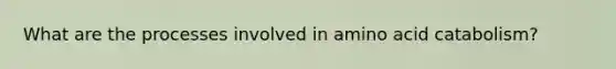 What are the processes involved in amino acid catabolism?