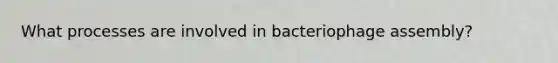 What processes are involved in bacteriophage assembly?