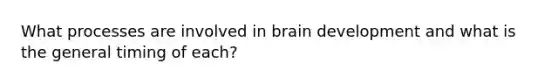 What processes are involved in brain development and what is the general timing of each?