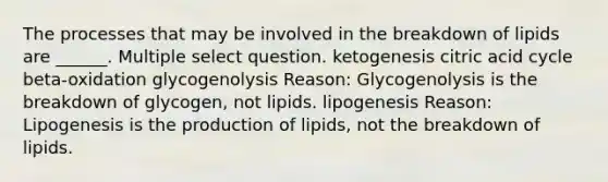 The processes that may be involved in the breakdown of lipids are ______. Multiple select question. ketogenesis citric acid cycle beta-oxidation glycogenolysis Reason: Glycogenolysis is the breakdown of glycogen, not lipids. lipogenesis Reason: Lipogenesis is the production of lipids, not the breakdown of lipids.