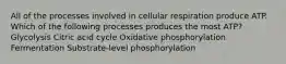 All of the processes involved in cellular respiration produce ATP. Which of the following processes produces the most ATP? Glycolysis Citric acid cycle Oxidative phosphorylation Fermentation Substrate-level phosphorylation