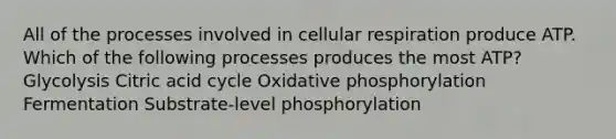 All of the processes involved in cellular respiration produce ATP. Which of the following processes produces the most ATP? Glycolysis Citric acid cycle Oxidative phosphorylation Fermentation Substrate-level phosphorylation