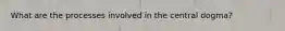 What are the processes involved in the central dogma?