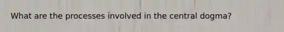 What are the processes involved in the central dogma?