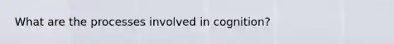 What are the processes involved in cognition?