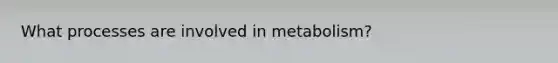 What processes are involved in metabolism?