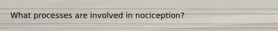 What processes are involved in nociception?