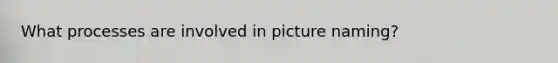 What processes are involved in picture naming?