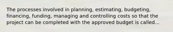 The processes involved in planning, estimating, budgeting, financing, funding, managing and controlling costs so that the project can be completed with the approved budget is called...