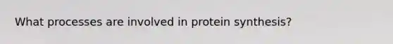 What processes are involved in protein synthesis?