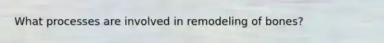 What processes are involved in remodeling of bones?