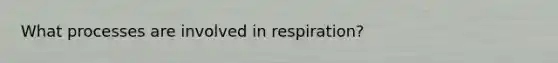 What processes are involved in respiration?