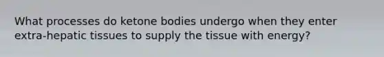 What processes do ketone bodies undergo when they enter extra-hepatic tissues to supply the tissue with energy?