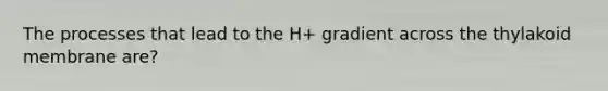 The processes that lead to the H+ gradient across the thylakoid membrane are?