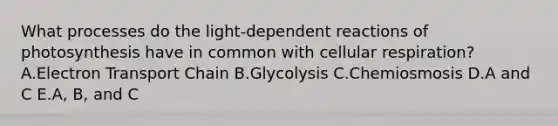 What processes do the light-dependent reactions of photosynthesis have in common with cellular respiration? A.Electron Transport Chain B.Glycolysis C.Chemiosmosis D.A and C E.A, B, and C