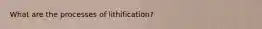 What are the processes of lithification?