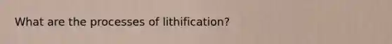 What are the processes of lithification?