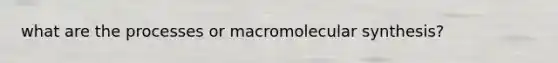 what are the processes or macromolecular synthesis?