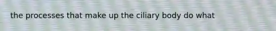 the processes that make up the ciliary body do what