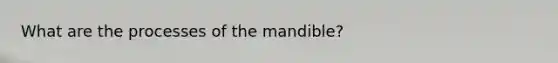 What are the processes of the mandible?