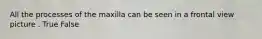 All the processes of the maxilla can be seen in a frontal view picture . True False