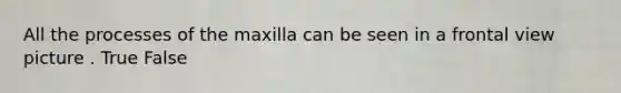 All the processes of the maxilla can be seen in a frontal view picture . True False