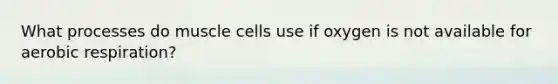 What processes do muscle cells use if oxygen is not available for aerobic respiration?