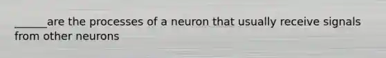 ______are the processes of a neuron that usually receive signals from other neurons