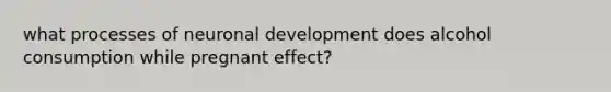 what processes of neuronal development does alcohol consumption while pregnant effect?