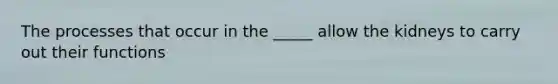 The processes that occur in the _____ allow the kidneys to carry out their functions