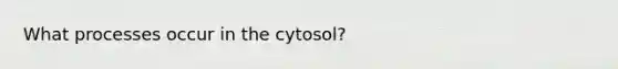 What processes occur in the cytosol?