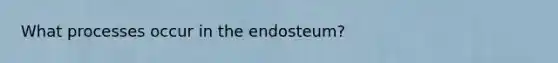 What processes occur in the endosteum?