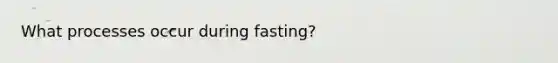 What processes occur during fasting?