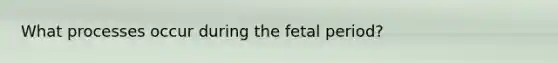 What processes occur during the fetal period?