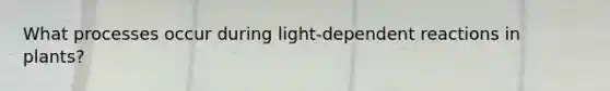 What processes occur during light-dependent reactions in plants?