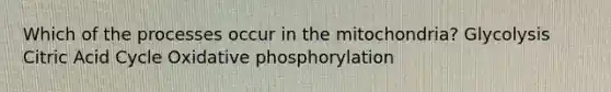 Which of the processes occur in the mitochondria? Glycolysis Citric Acid Cycle Oxidative phosphorylation