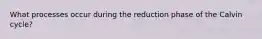 What processes occur during the reduction phase of the Calvin cycle?