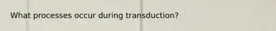 What processes occur during transduction?